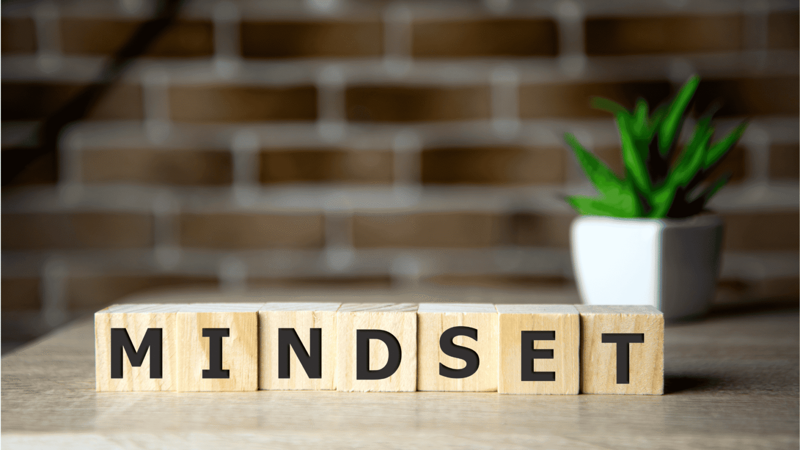 leadership mindset